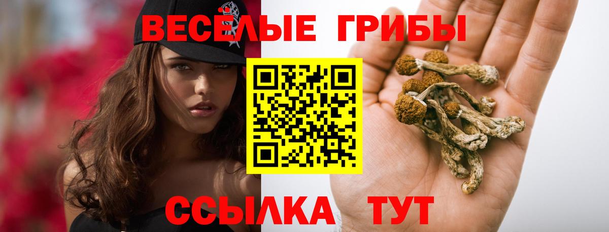 Псилоцибиновые грибы ЛСД  Вход с VPN  Краснодар  Псилоцибиновые грибы Psilocybine cubensis 